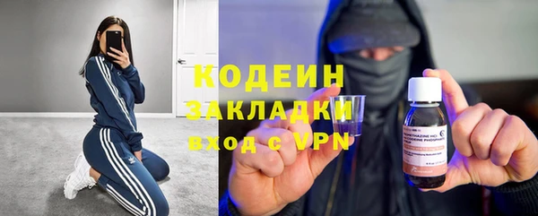 apvp Алзамай