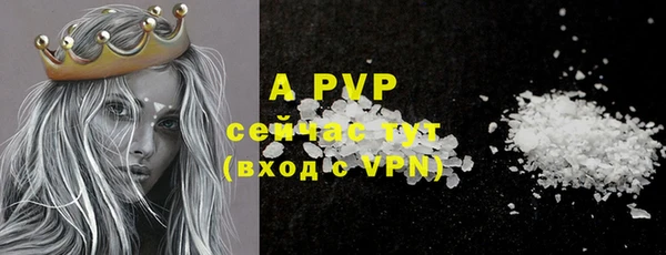 apvp Алзамай