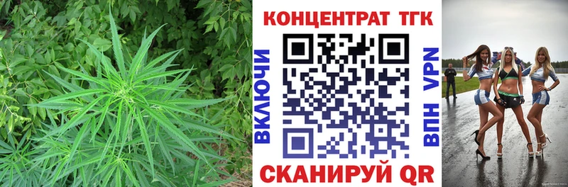 ТГК гашишное масло где купить наркоту Ардатов