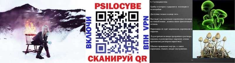 Галлюциногенные грибы Psilocybe  купить наркоту  Ардатов 